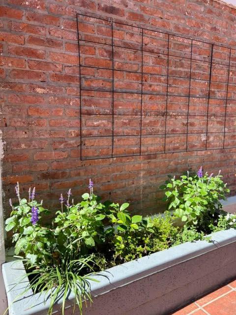 Apartamento Lo De Nacho Canning